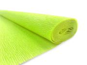 Opakowanie Krepina Premium Interdruk 200x50 cm nr 116 jasny zielony