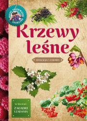 Krzewy leśne. Autor: Tomasz Hryniewicki. Dadada.pl Okładka książki Krzewy leśne