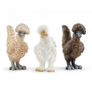 Opakowanie Kurze przyjaciółki