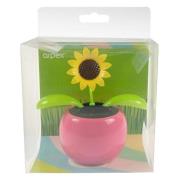 Opakowanie Kwiatek solarny - kiwaczek MIX