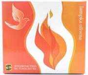 Lampka oliwna. Wydawca: Świętego Stanisława BM. Dadada.pl Opakowanie Lampka oliwna