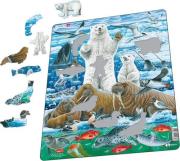 Larsen Polar Bear & Walrus (Maxi). Wydawca: Tactic. Dadada.pl Opakowanie Larsen Polar Bear & Walrus (Maxi)