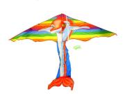 Opakowanie Latawiec delfin