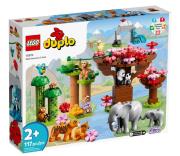 Opakowanie Lego DUPLO 10974 Dzikie zwierzęta Azji