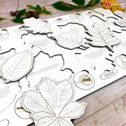 Opakowanie Liście i owoce drzew