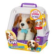 Little Live Pets - Piesek z transporterkiem. Wydawca: Cobi. Dadada.pl Opakowanie Little Live Pets - Piesek z transporterkiem