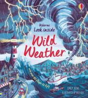 LOOK INSIDE WILD WEATHER. Autor: Emily Bone. Dadada.pl Okładka książki LOOK INSIDE WILD WEATHER
