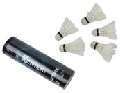 Opakowanie Lotki w tubie 6szt