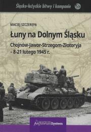 Łuny na Dolnym Śląsku. Autor: Maciej Szczerepa. Dadada.pl Okładka książki Łuny na Dolnym Śląsku