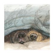 Opakowanie Magnes FM210 Noski psów