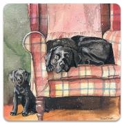 Opakowanie Magnes FM247 Psy Sophie&Scarlett