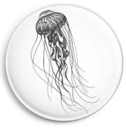 Opakowanie Magnes Meduza