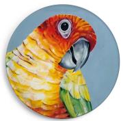 Magnes Papuga. Wydawca: Ligarti. Dadada.pl Opakowanie Magnes Papuga