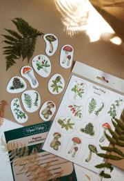 Opakowanie Magnesy Leśne botaniczne