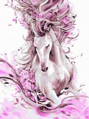 Opakowanie Malowanie po numerach 30x40cm Magiа