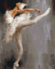 Opakowanie Malowanie po numerach  Biały łabędź