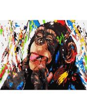 Opakowanie Malowanie po numerach - Jasna małpa 40x50cm