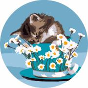 Opakowanie Malowanie po numerach okrągłe - Kotek i stokrotki