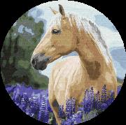 Opakowanie Malowanie po numerach owalne Koń w lawendzie