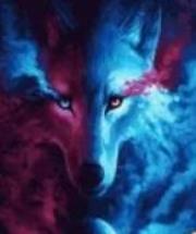 Opakowanie Malowanie po numerach - Spojrzenie wilka 40x50cm