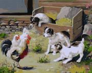 Opakowanie Malowanie po numerach - Spotkanie 40x40cm