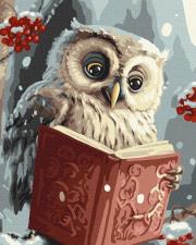 Opakowanie Malowanie po numerach - Sprytna sowa 40x50cm