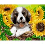 Opakowanie Malowanie po numerach - Szczeniak w Koszyku 40x50