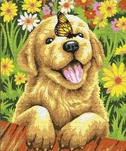 Opakowanie Malowanie po numerach  Wesoły piesek