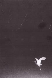 Okładka książki Manowce