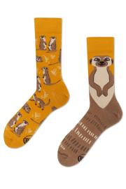 Zdjęcie produktu Many Mornings Skarpetki długie The Meerkat