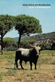 Miejsca Etrusków. Autor: Lawrence D.H.. Dadada.pl Okładka książki Miejsca Etrusków