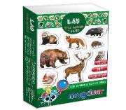 Opakowanie Mieszkańcy lasu - zestaw magnesów