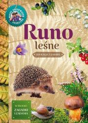 Młody Obserwator Przyrody - Runo leśne w.2022. Autor: Tomasz Hryniewicki. Dadada.pl Okładka książki Młody Obserwator Przyrody - Runo leśne w.2022