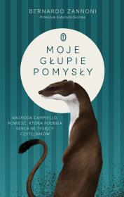 Moje głupie pomysły. Autor: Bernardo Zannoni, Katarzyna Skórska. Dadada.pl Okładka książki Moje głupie pomysły