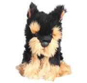Opakowanie Morkie 30cm