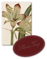 Opakowanie Mydełko ozdobne STTVAL610 zapach świąteczne jabłko