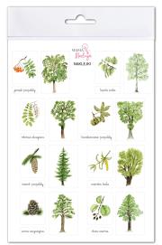 Opakowanie Naklejki Drzewa 2