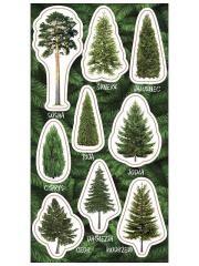 Naklejki Drzewa iglaste. Wydawca: Ranok-Creative. Dadada.pl Opakowanie Naklejki Drzewa iglaste