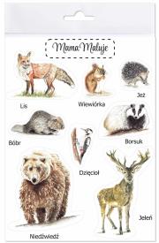 Opakowanie Naklejki duże Zwierzęta leśne 1