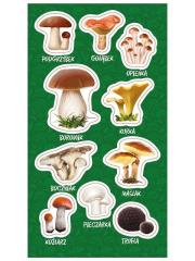 Naklejki Grzyby jadalne. Wydawca: Ranok-Creative. Dadada.pl Opakowanie Naklejki Grzyby jadalne