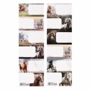 Opakowanie Naklejki na zeszyt Konie (25szt)