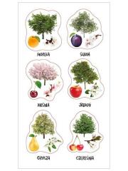 Naklejki Polski sad. Wydawca: Ranok-Creative. Dadada.pl Opakowanie Naklejki Polski sad