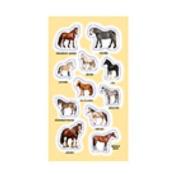Naklejki Rasy koni. Wydawca: Ranok-Creative. Dadada.pl Opakowanie Naklejki Rasy koni