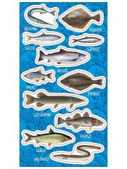 Naklejki Ryby bałtyckie. Wydawca: Ranok-Creative. Dadada.pl Opakowanie Naklejki Ryby bałtyckie