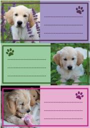 Opakowanie Naklejki szkolne - Pieski 9szt