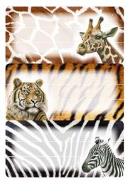 Opakowanie Naklejki szkolne - Safari 9szt