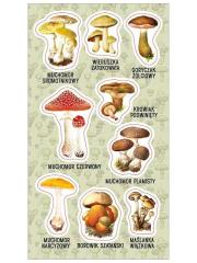Naklejki Trujące grzyby. Wydawca: Ranok-Creative. Dadada.pl Opakowanie Naklejki Trujące grzyby