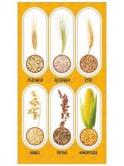 Naklejki Zboża. Wydawca: Ranok-Creative. Dadada.pl Opakowanie Naklejki Zboża