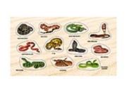 Naklejki Żmije i węże. Wydawca: Ranok-Creative. Dadada.pl Opakowanie Naklejki Żmije i węże