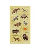 Naklejki Zwierzęta wymarłe gatunki. Wydawca: Ranok-Creative. Dadada.pl Opakowanie Naklejki Zwierzęta wymarłe gatunki